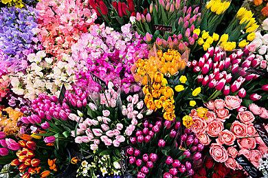 《真女神转生5：复仇》PS版下载大小公布 6月12日开启预载